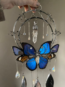 “Morpho Glyph Portal” Black Petina Organic Morpho and Monarch Wall Art with Runic Protection Glyphs, Crow Feather Suncatcher